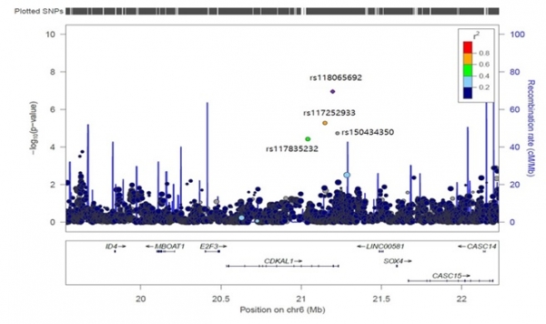 콜레스테롤 제거 능력과 연관된 CDKAL1 유전변이 위치도 〈자료 : 세브란스〉