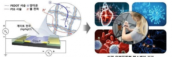 전도성 고분자 물질 이용한 인체 친화형 전자소자 개발 모식도 〈자료 : 한국연구재단〉