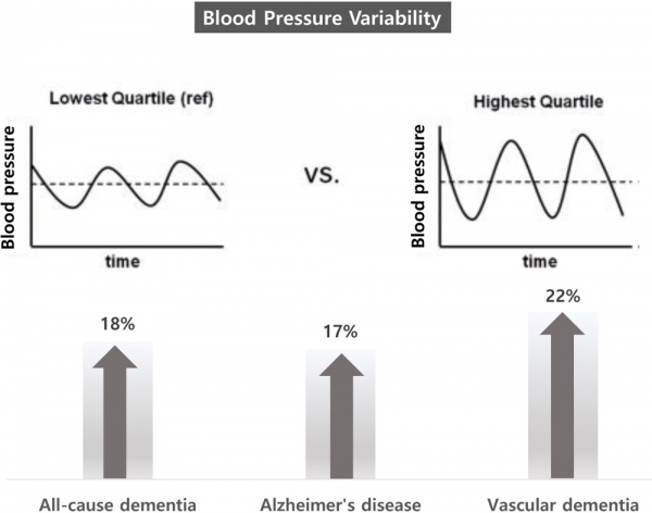 혈압 변동성이 큰 경우 치매 발생이 증가 했다.