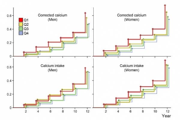 혈중 칼슘농도와 칼슘 섭취량이 가장 낮은 군(Q1)은 가장 높은 군(Q4)보다 근감소증이 남성은 1.7배, 여성은 2.4배 높은 것을 확인했다.