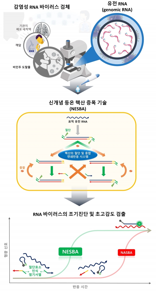 RNA 바이러스 초고감도 검출 기술 연구 모식도