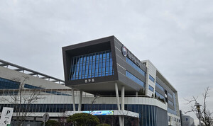 마약성 진통제 '코데인', 췌장염 이상반응 추가 - 뉴스 썸네일 이미지