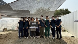 수원 돌봄동물의료센터, 유기묘 90마리 살렸다...외과·치과 수의사 동... - 뉴스 썸네일 이미지