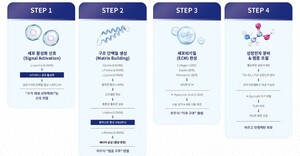 휴먼웰니스, '아미노검겔' 국내 2등급 인허가 획득...고위험 치주질환 환... - 뉴스 썸네일 이미지